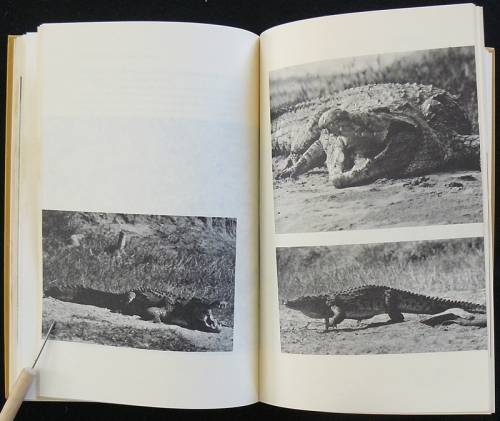 Death In The Long Grass (A Big game hunter's adventures in the Bush). Capstick, Peter Hathaway