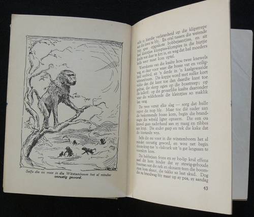 VLAM Van Die Bantomberge - Hobson, G. C. and S.B. (George and Samuel)  Illust. Eleanor Esmonde-White