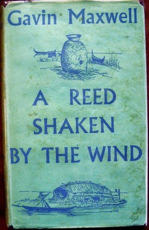 A Reed Shaken By the Wind, Maxwell, Gavin