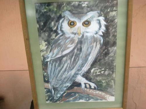 JUDITH ANN MALAN: OWL STUDY #1 WATERCOLOUR ORIGINAL