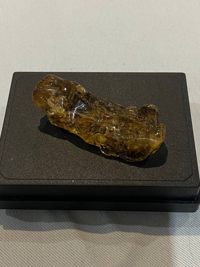 Fossilized Amber uncut