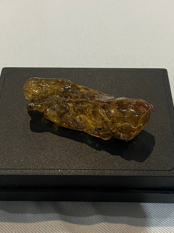 Fossilized Amber uncut