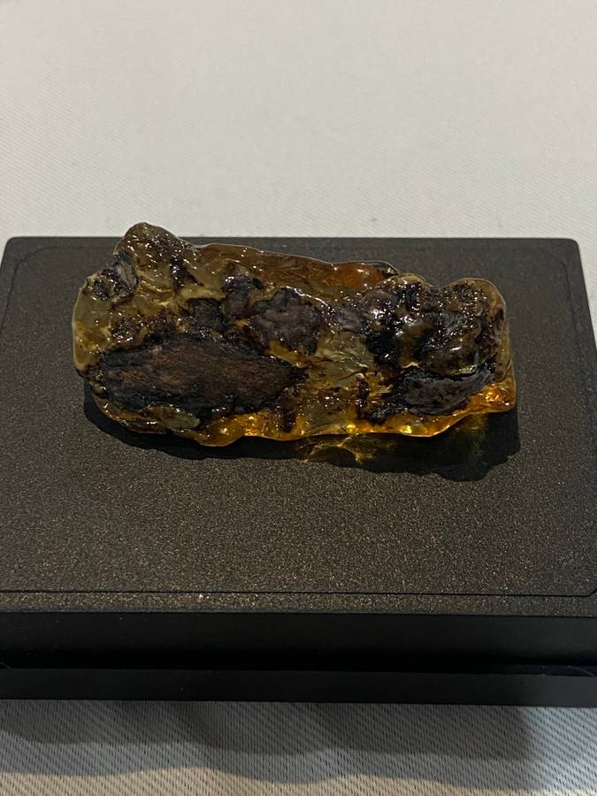 Fossilized Amber uncut