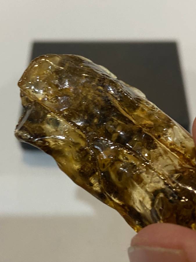 Fossilized Amber uncut