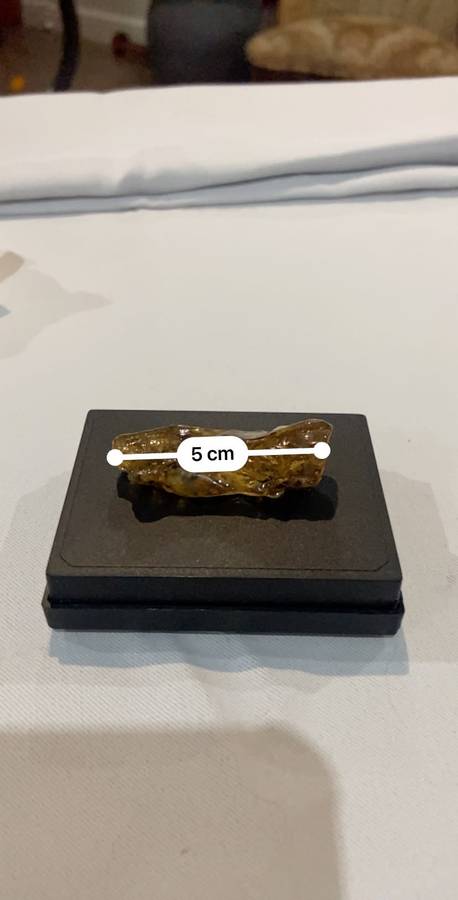 Fossilized Amber uncut