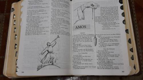 Vintage afrikaans Bible .