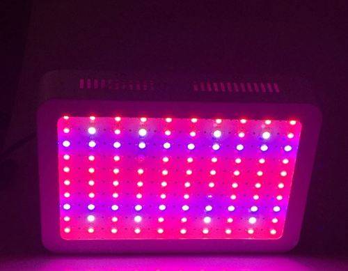 1000W INDOOR GROW LIGHT AND TENT COMBO (Bonus: Plus 100W light for free)