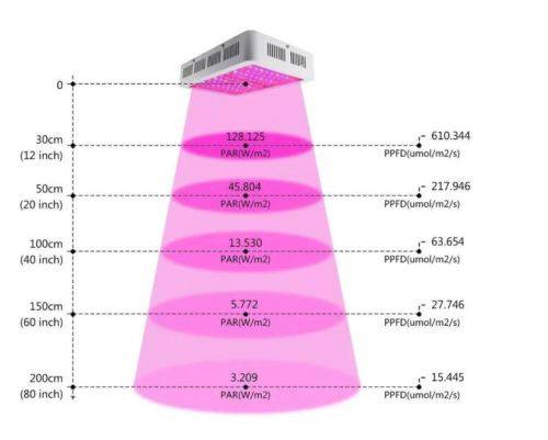 1000W INDOOR GROW LIGHT AND TENT COMBO (Bonus: Plus 100W light for free)