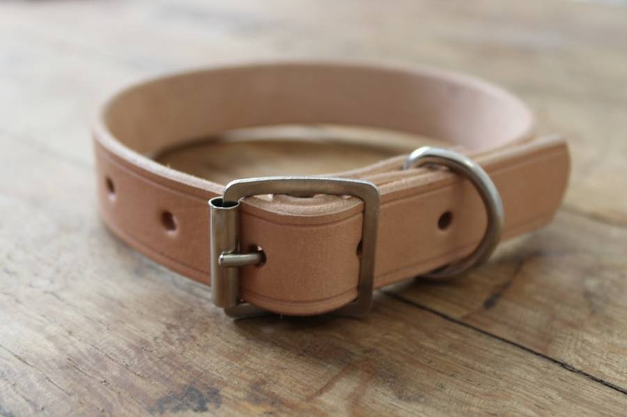 High Quality Leather Dog Collar (medium)