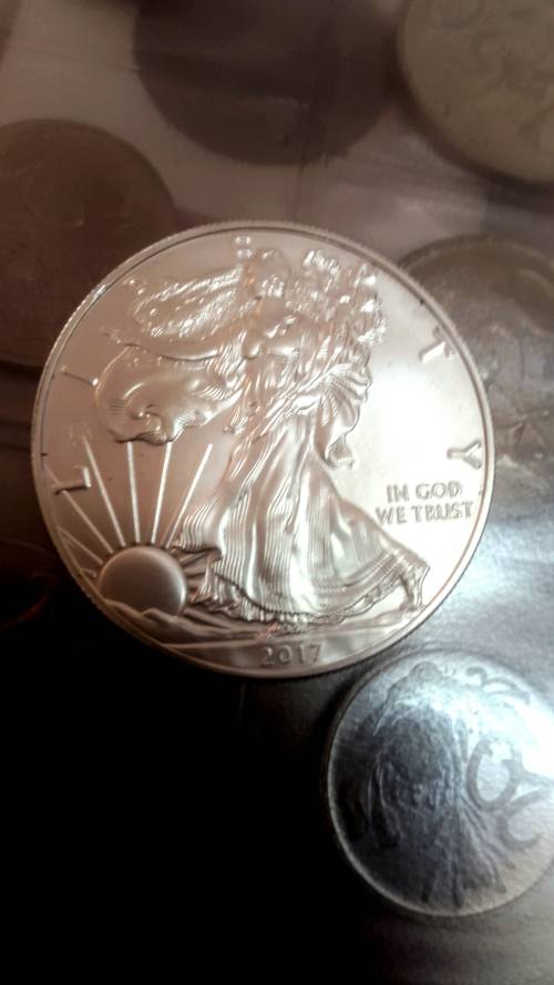 2017 Pure SILVER AMERICAN  DOLLARS. 1 Ounce of pure silver each