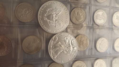 2017 Pure SILVER AMERICAN  DOLLARS. 1 Ounce of pure silver each