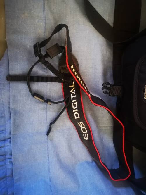 Camera bag and Canon camera strap