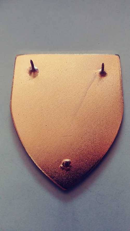 RECCE SPECIAL FORCES HQ 3 PINS ORIGINAL NOT USED
