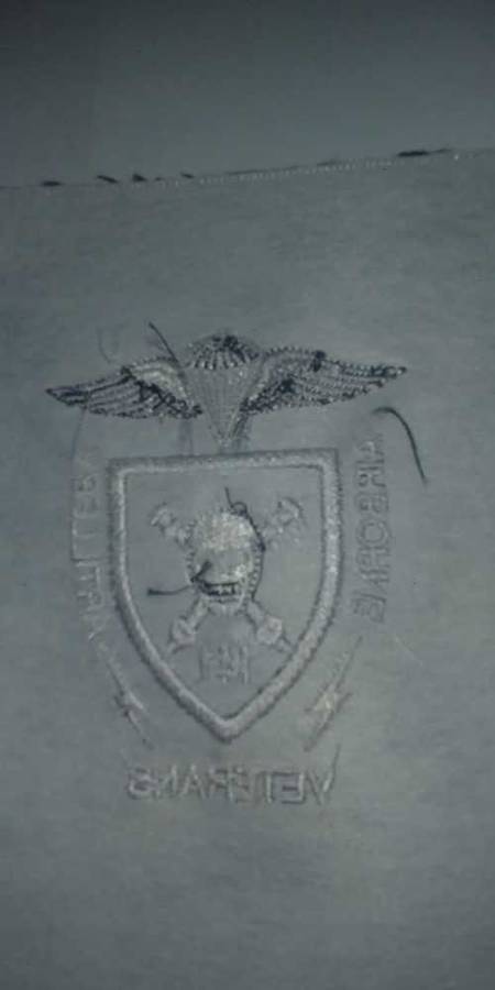141 Artillery Airborne Blazer Badge Original not used.