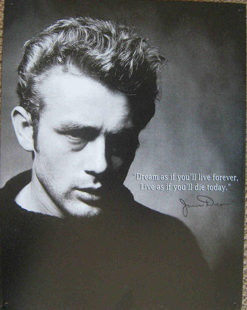 James Dean. Vintage style metal sign                                                       mt28