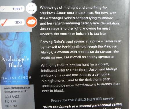 Archangel`s Storm- Nalini Singh ( A Guild Hunter Novel)