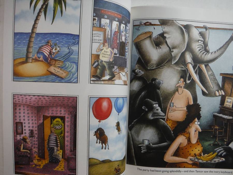 The Far Side Gallery 4 - Softcover