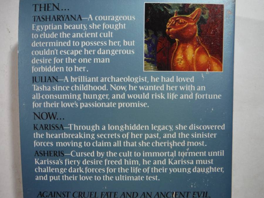 The Lost Goddess - Paperback - Patricia Simpson