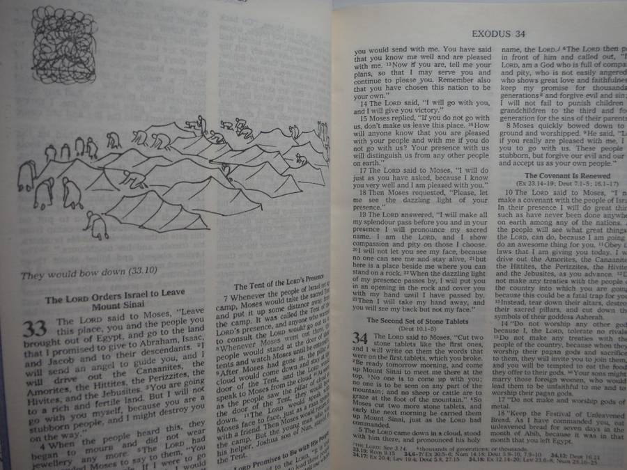 Good News Bible Illustrated : Today`s English Version - Imitation Leather, Limp Cover