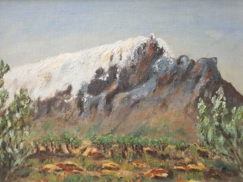 Iris Boden Oil Painting Signed and dated 1959!! Table Mountain!!