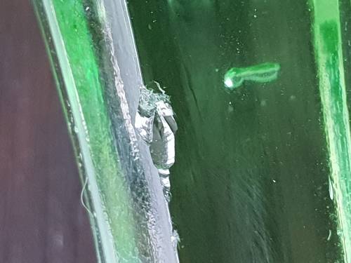 Set of 5 Uranium Glass Items!!