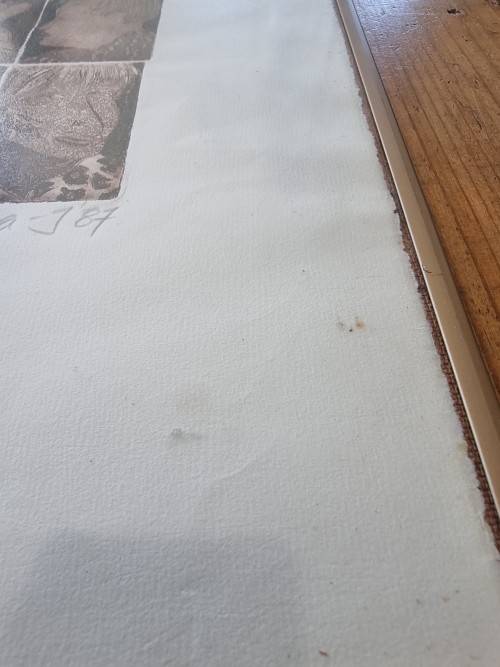 Sara J Etching 40/40 Signed, Titled and dated 1987!!