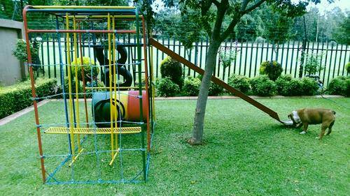 Jungle Gym
