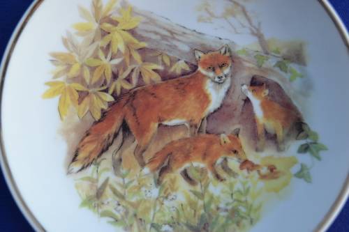 Wild Life of Britian Collectable display Plate Small