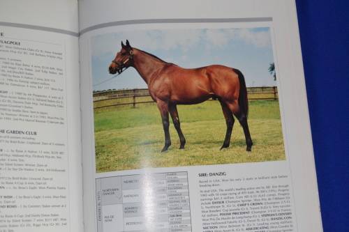 Stallion Register 6