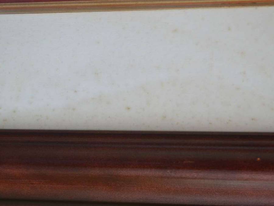 Original Painting Signed S Thompson in Heavy Mahogany Frame