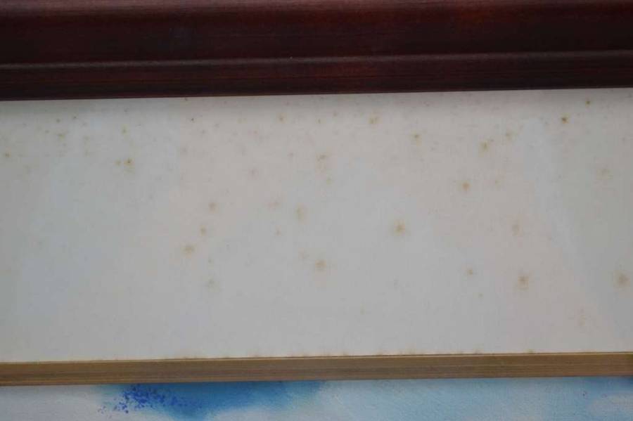 Original Painting Signed S Thompson in Heavy Mahogany Frame