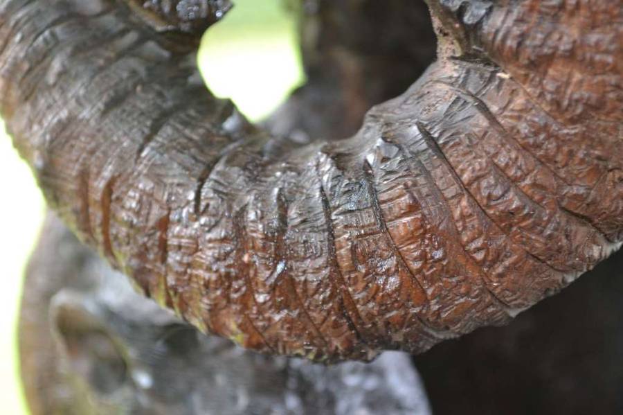 Large Totem Style Big 5 Wooden Carving