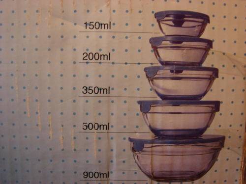 10 Piece glass storage and snack bowl set