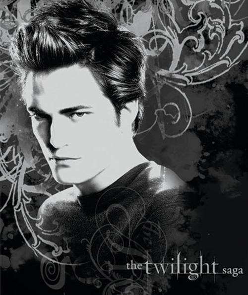 ** READ BEFORE BIDDING ** The Twilight Saga Fleece Throw (Licensed)