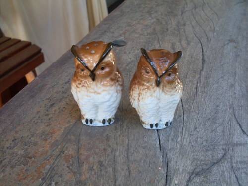 FOR THE OWL LOVERS, BONE CHINA TAIWAN SALT & PEPPER POTS. LOVELY DETAIL