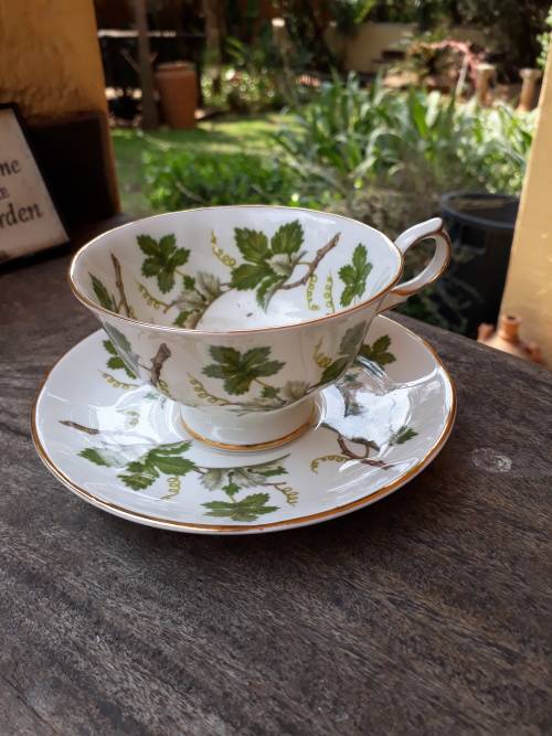 SPRINGFIELD ENGLAND BONE CHINA TEA DUO. TASTEFUL & ELEGANT SHAPE GREEN & WHITE LEAF GILT TRIM, WOW!!