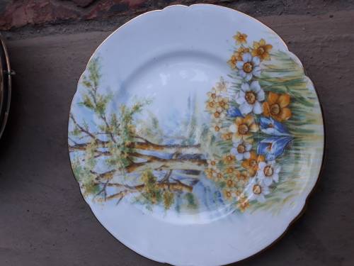 SHELLEY ENGLAND, FINE BONE CHINA SIDE PLATE 15CM, BEAUTIFUL DAFFODIL TIME GORGEOUS