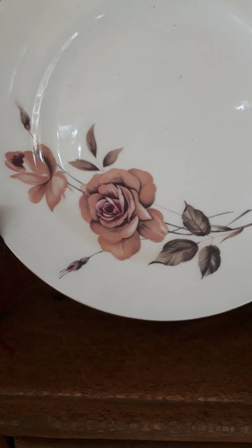 VINTAGE BELIEVED `50`S ROYAL ALBERT `PRELUDE` SIDE PLATE DUSTY PINK ROSES