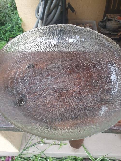 VINTAGE? LARGE ROUND TEXTURED GLASS BOWL