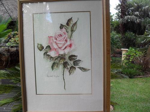 STUNNING, STUNNING & STUNNING BEAUTIFULLY FRAMED & SIGNED WATERCOLOUR OF  PINK ROSE & BUDS