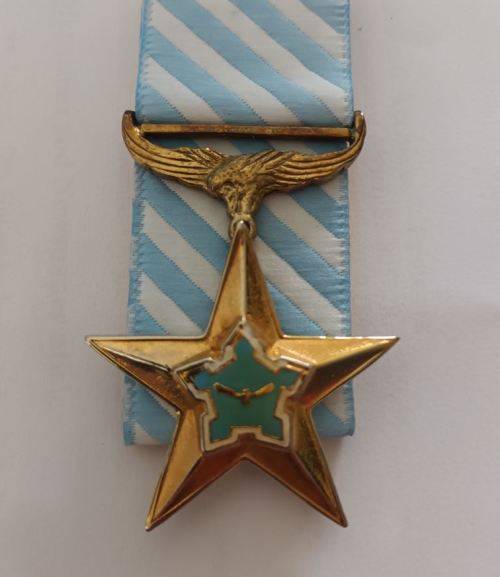 SADF  - Ad Astra decoration - Full size - (PLEASE READ THE DESCRIPTION)
