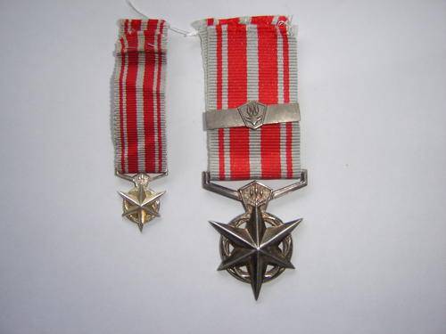 South African Police Medal for Combatting Terrorism with miniature