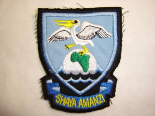 35 Squadron patch