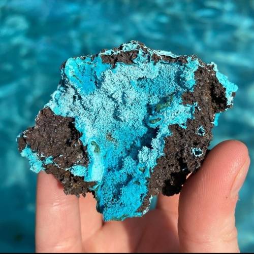Very Rare Double Pseudomorph Chrysocolla from Congo