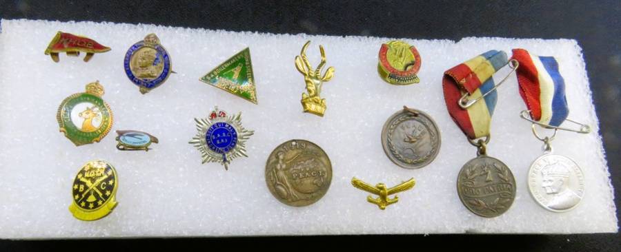 BADGES  x 14 ASSORTED