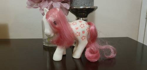 My Little Pony G1 Apple Delight Family