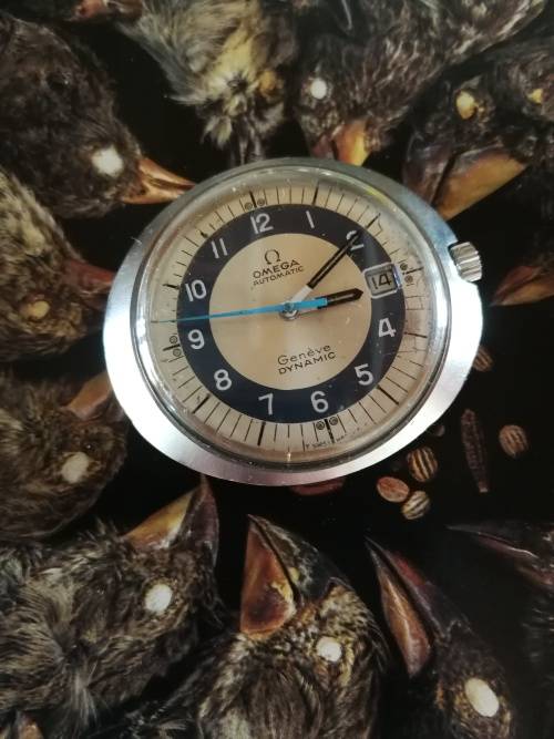Omega Dynamic (For San Benito)