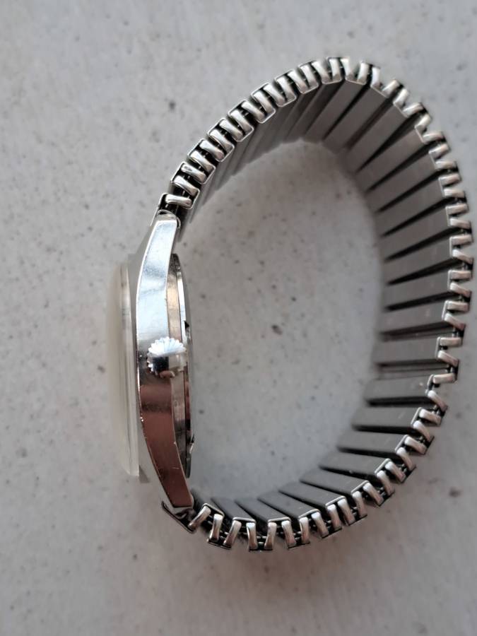 Vintage Roamer Watch