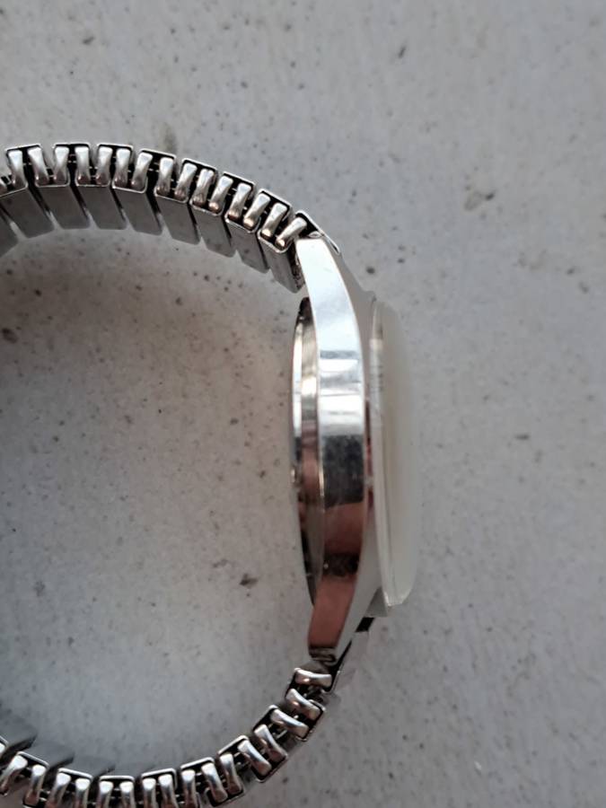 Vintage Roamer Watch