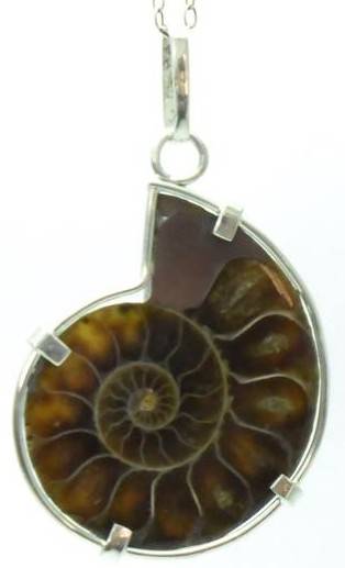 AMMONITE Pendant in Sterling Silver (49 x 30mm) * Handcrafted *